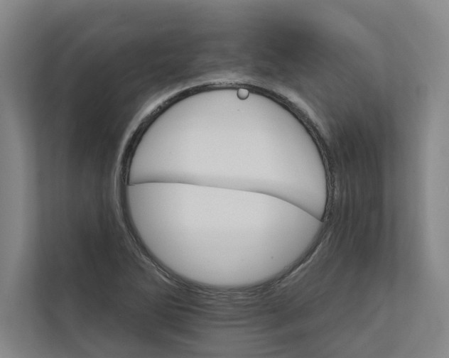 X0000111931270200908171229