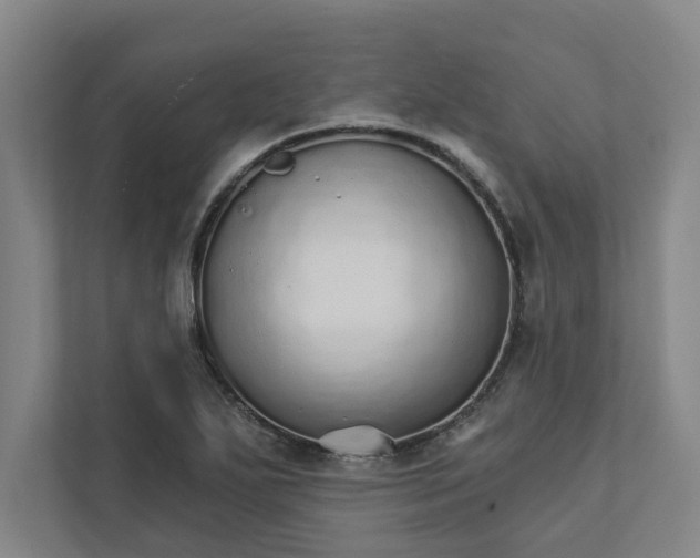 X0000111931271200908171229