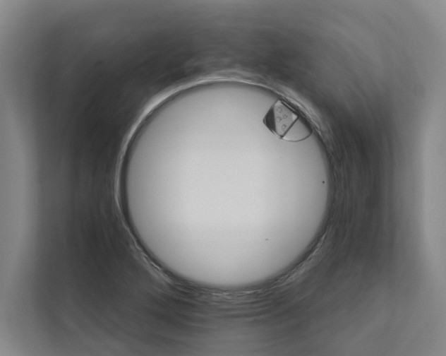 X0000111931272200908171229