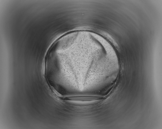 X0000111931276200908171229