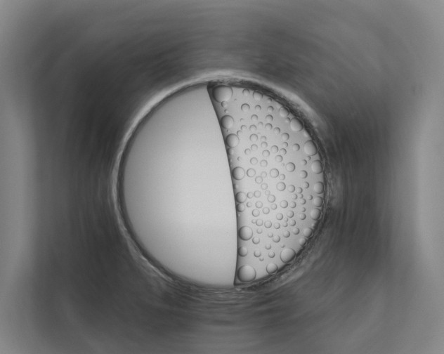 X0000111931279200908171229