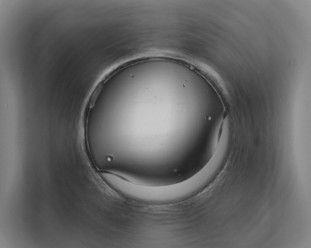 X0000111931280200908171229