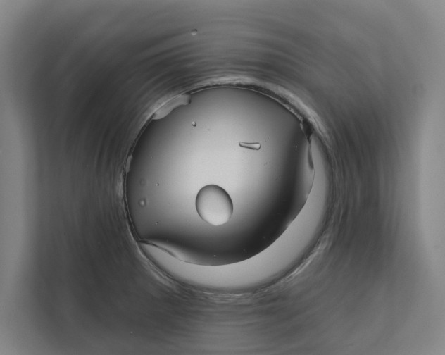 X0000111931281200908171229