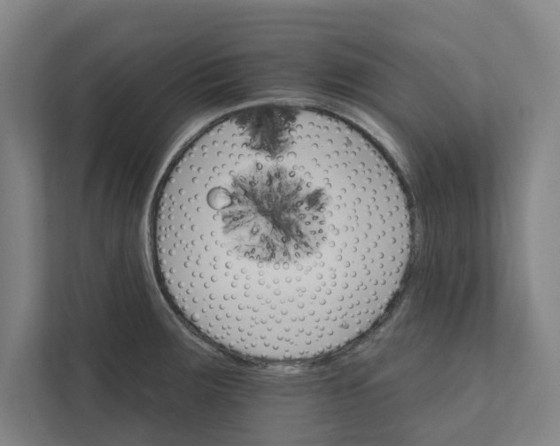 X0000111931283200908171229