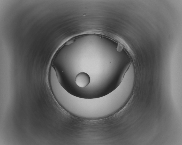 X0000111931284200908171229