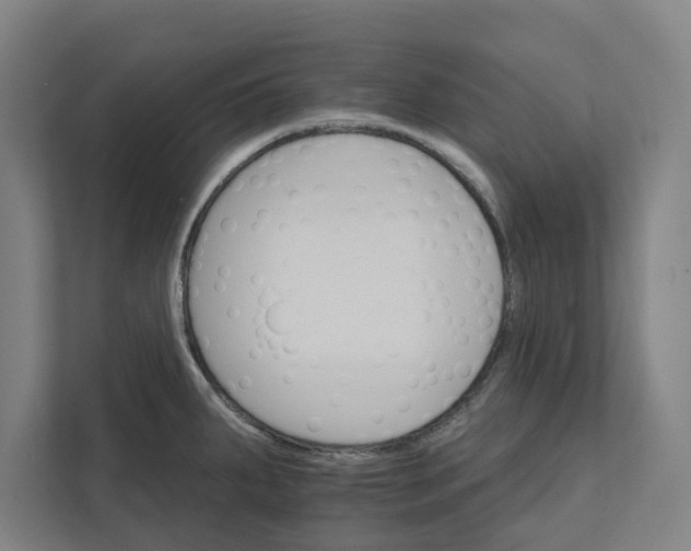 X0000111931287200908171229