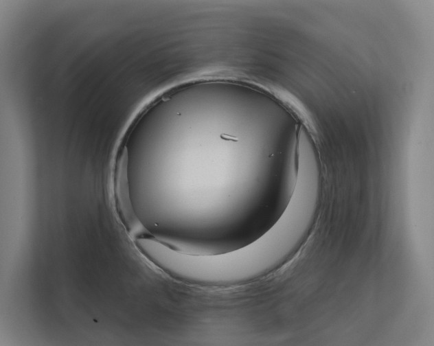 X0000111931288200908171229