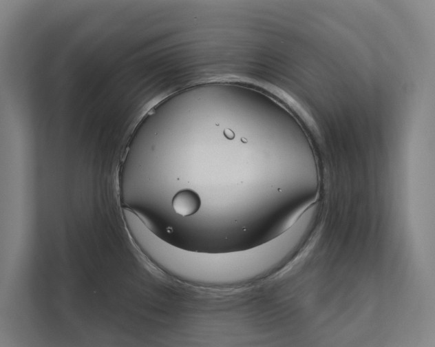 X0000111931289200908171229