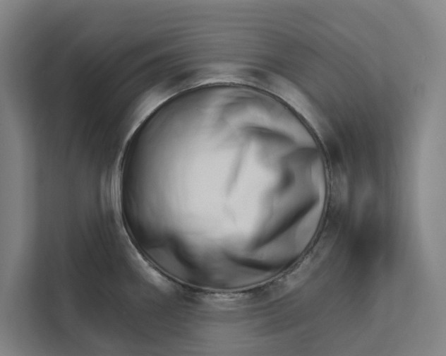 X0000111931290200908171229