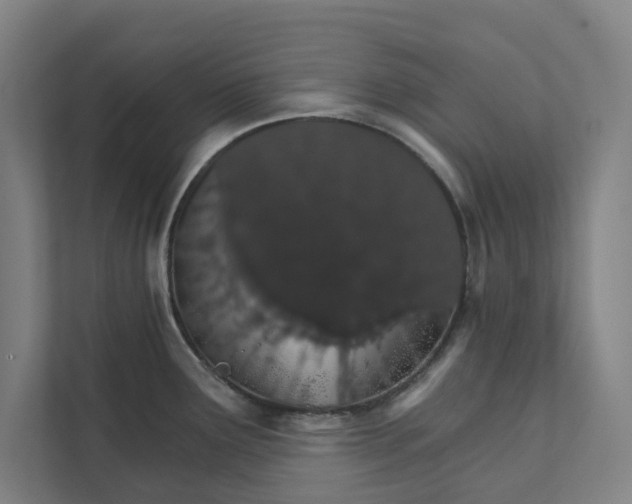 X0000111931291200908171229