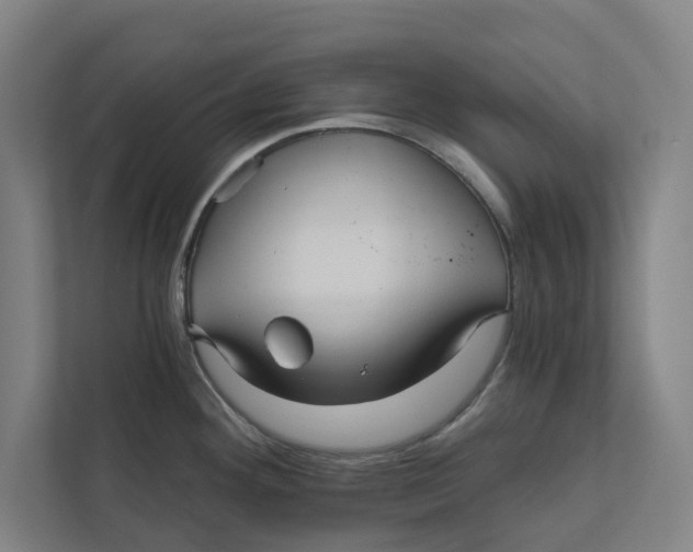 X0000111931292200908171229