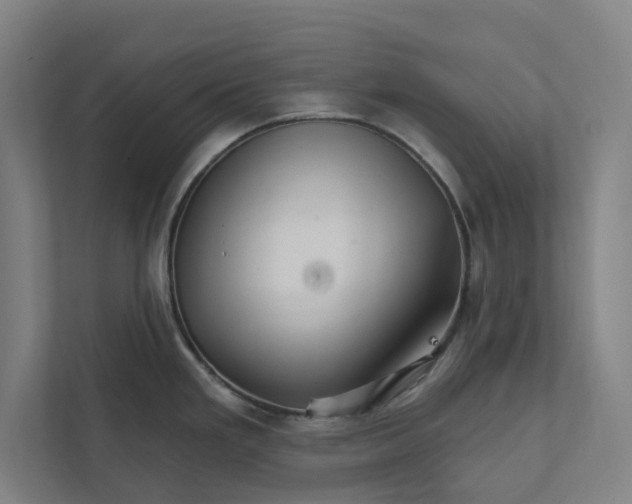 X0000111931293200908171229