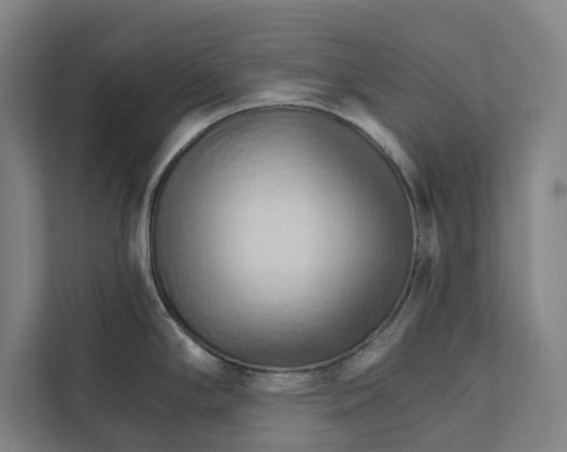 X0000111931294200908171229