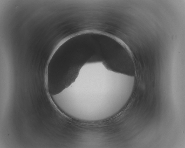 X0000111931295200908171229