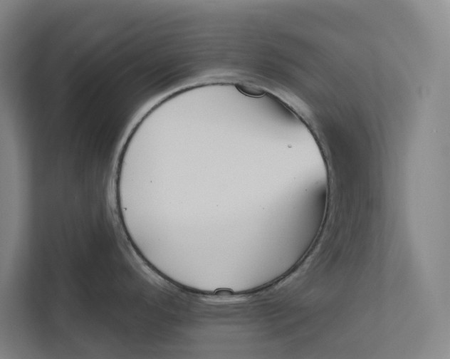 X0000111931296200908171229