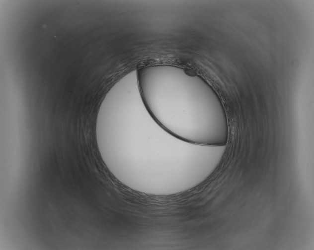 X0000111931298200908171228