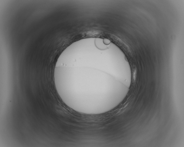 X0000111931299200908171228