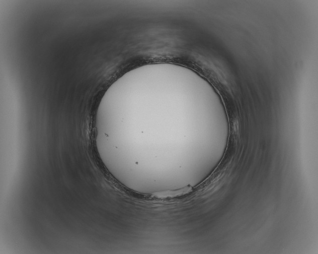 X0000111931300200908171228