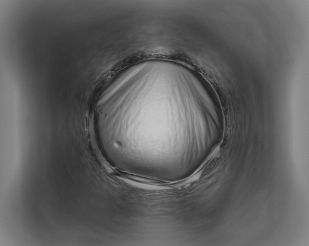 X0000111931301200908171228