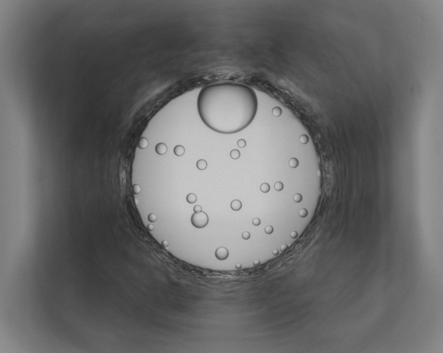 X0000111931302200908171228