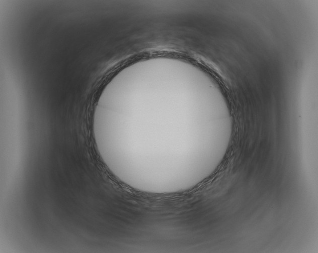 X0000111931303200908171228