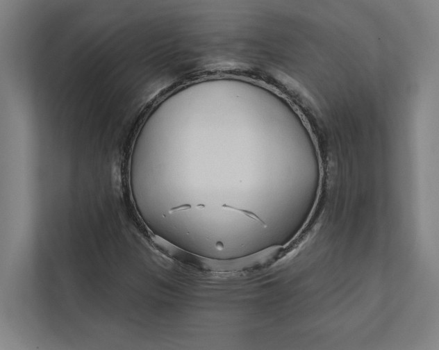 X0000111931305200908171228