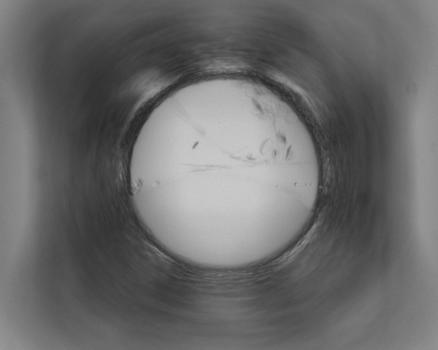 X0000111931306200908171228