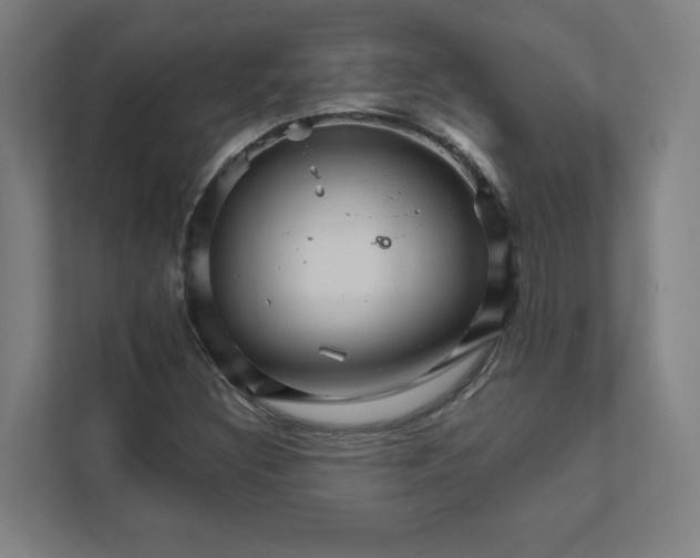 X0000111931308200908171228