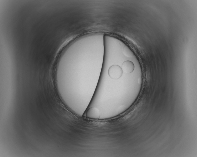 X0000111931309200908171228