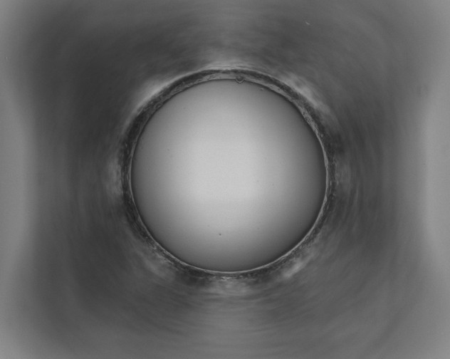 X0000111931311200908171228