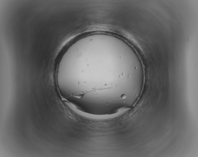 X0000111931312200908171228