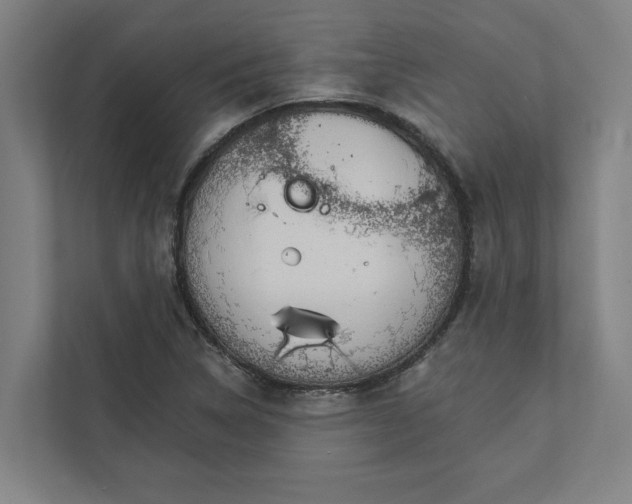 X0000111931314200908171228