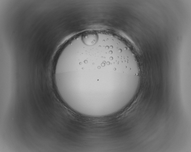 X0000111931315200908171228