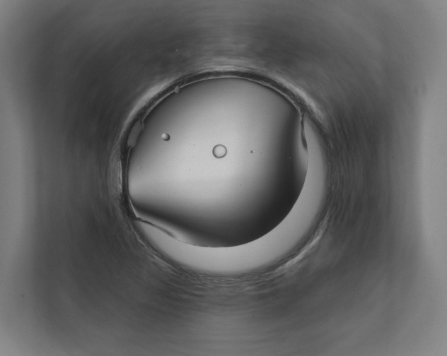 X0000111931317200908171228