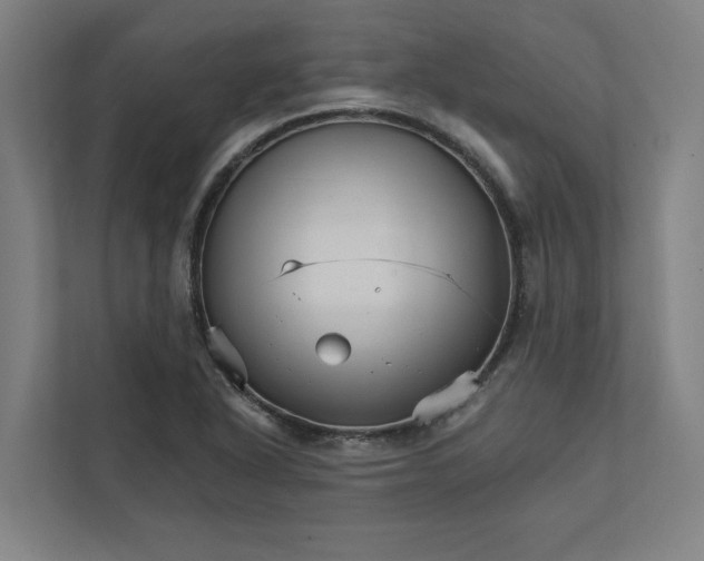 X0000111931318200908171228