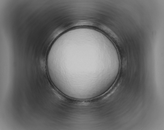 X0000111931321200908171228