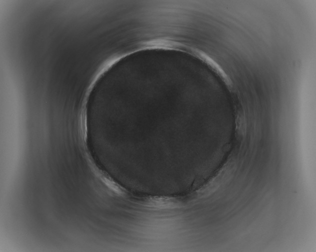 X0000111931323200908171229