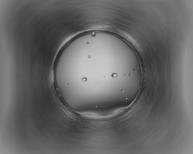 X0000111931324200908171229