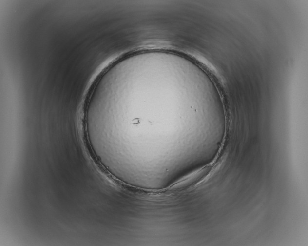 X0000111931325200908171229