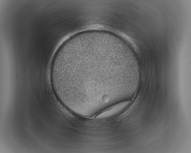 X0000111931326200908171229