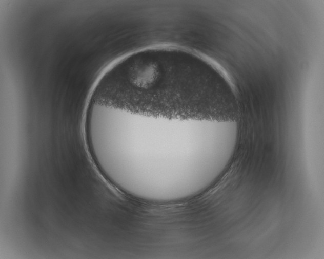 X0000111931327200908171229