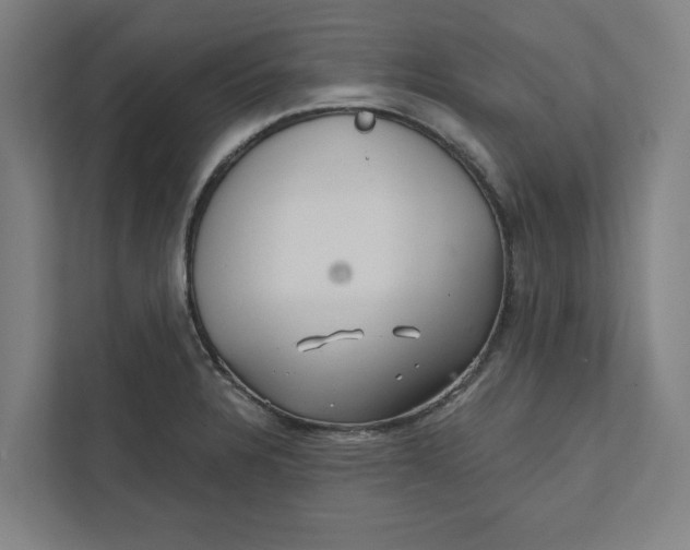 X0000111931328200908171229