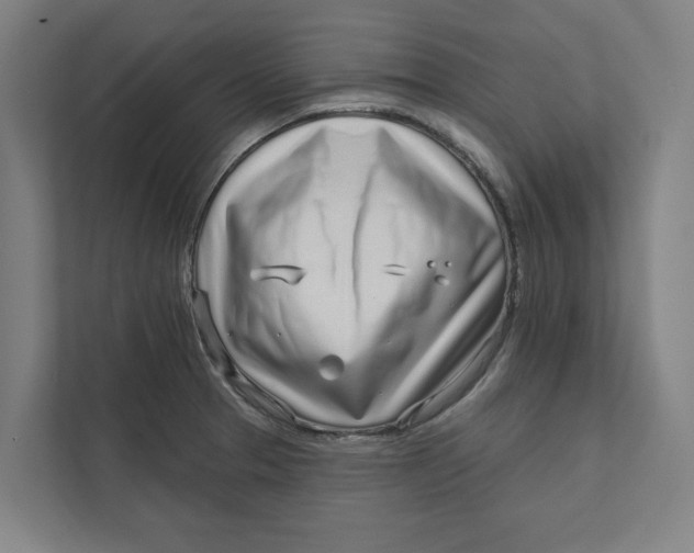 X0000111931329200908171229