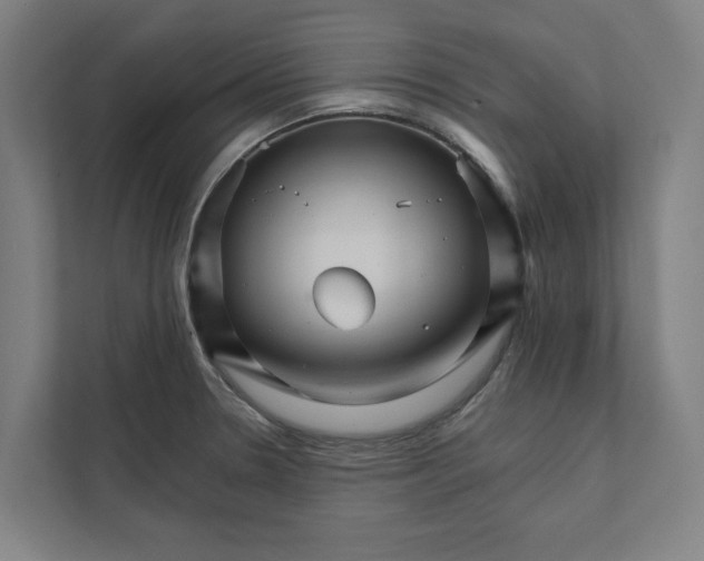 X0000111931330200908171229