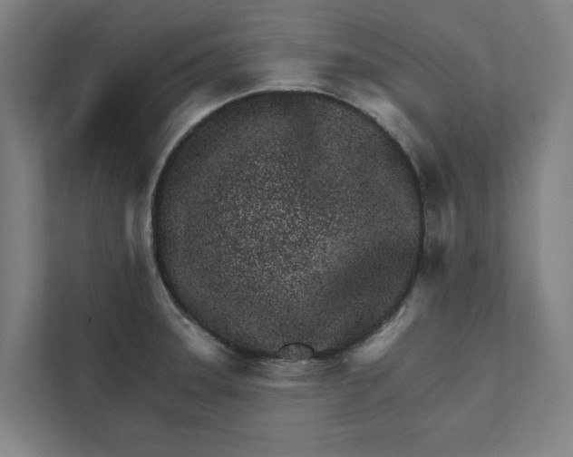 X0000111931331200908171229