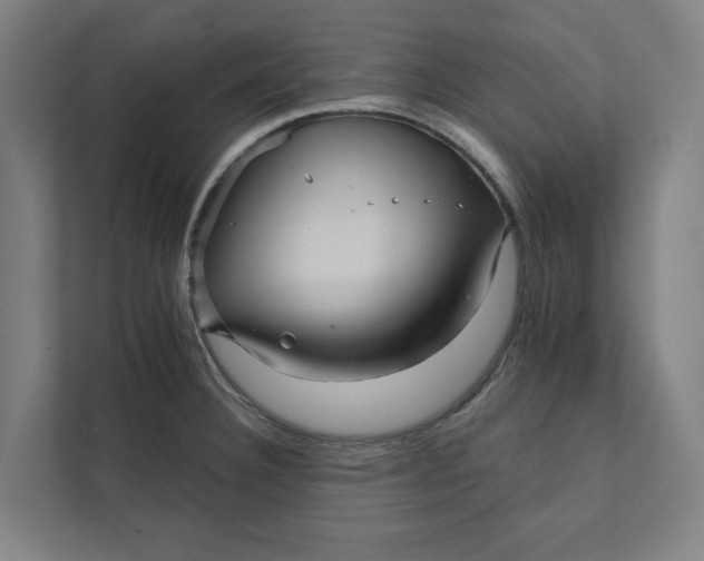 X0000111931332200908171229