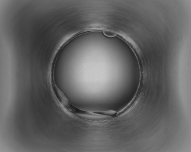 X0000111931333200908171229