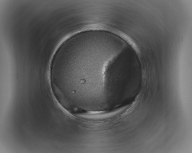 X0000111931334200908171229