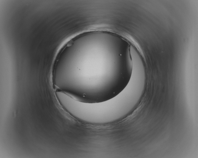 X0000111931336200908171229