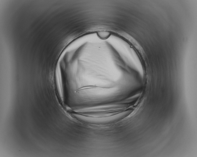 X0000111931337200908171229